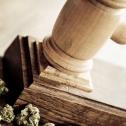 Drug Offenses Carry Lengthy Prison Sentences Image for Drug Offenses Carry Lengthy Prison Sentences post