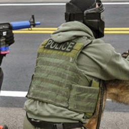 Image for The Penalties for Killing a Police Canine post