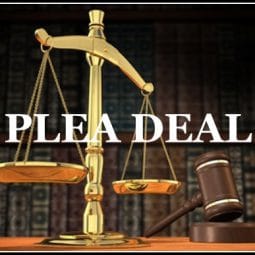 Image for How Plea Agreements Work in Miami Florida post