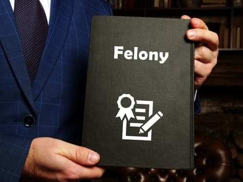 attorney holding book titled 'felony' with icon