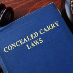Overview of State’s Concealed Carry Laws Image for Overview of State’s Concealed Carry Laws post