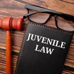 Which of the Following Is Not the Role of a Juvenile Defense Attorney? Image for Which of the Following Is Not the Role of a Juvenile Defense Attorney? post